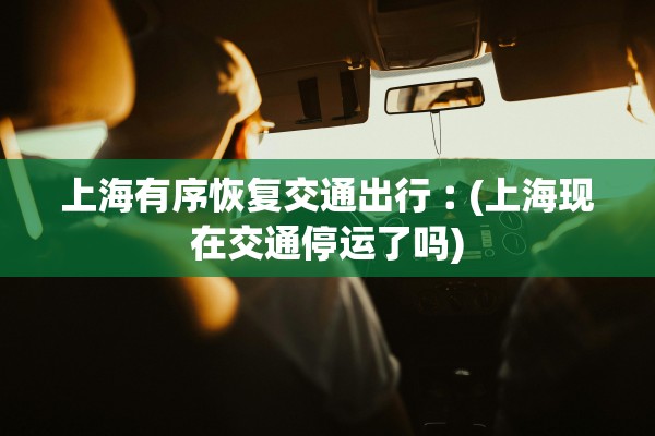 上海有序恢复交通出行︰(上海现在交通停运了吗)