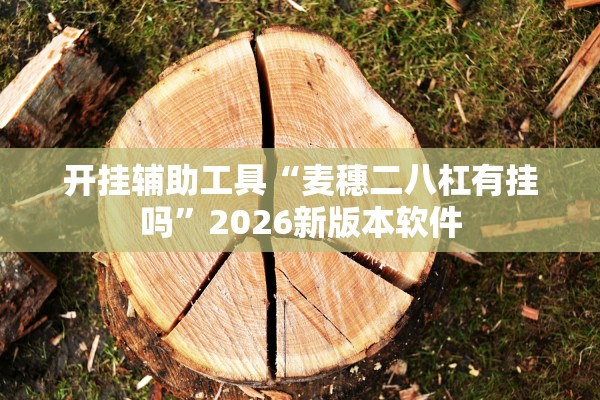 开挂辅助工具“麦穗二八杠有挂吗”2026新版本软件
