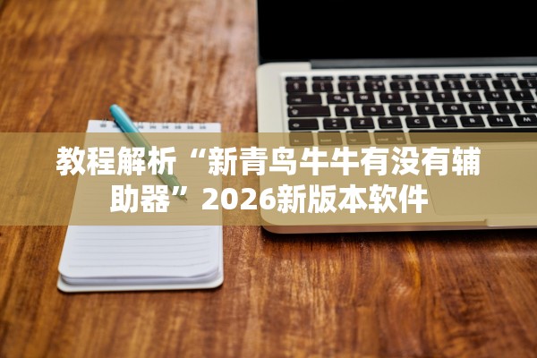 教程解析“新青鸟牛牛有没有辅助器”2026新版本软件