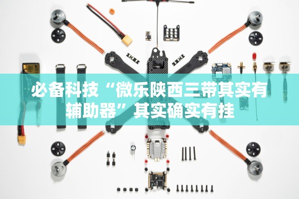 必备科技“微乐陕西三带其实有辅助器	”其实确实有挂