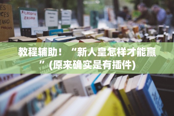 教程辅助！“新人皇怎样才能赢”(原来确实是有插件)