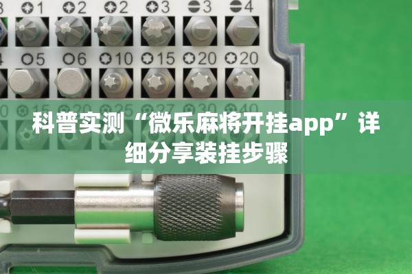 科普实测“微乐麻将开挂app”详细分享装挂步骤