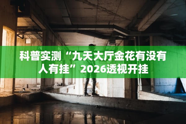 科普实测“九天大厅金花有没有人有挂”2026透视开挂