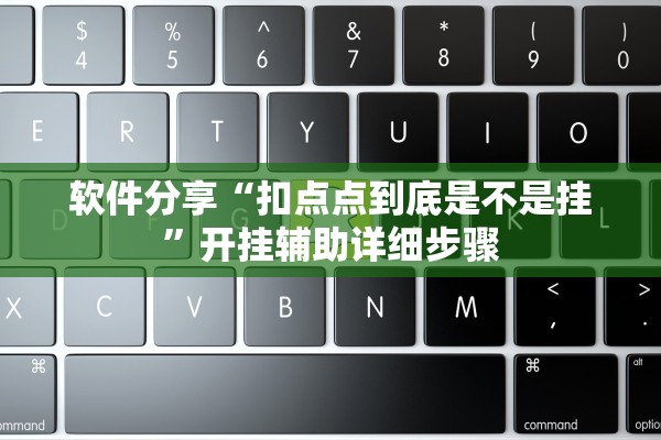 软件分享“扣点点到底是不是挂”开挂辅助详细步骤