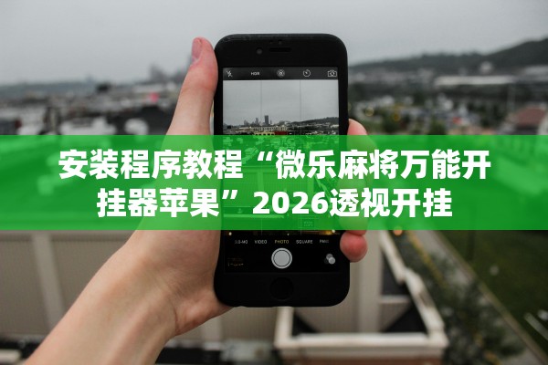 安装程序教程“微乐麻将万能开挂器苹果”2026透视开挂