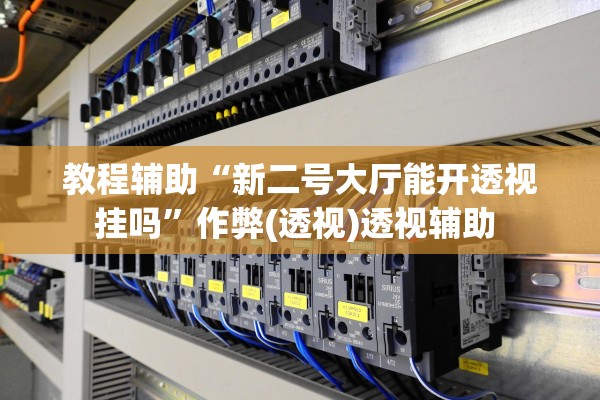 教程辅助“新二号大厅能开透视挂吗	”作弊(透视)透视辅助 