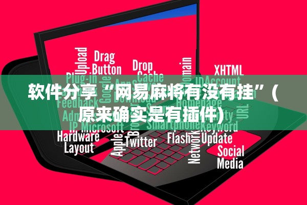 软件分享“网易麻将有没有挂	”(原来确实是有插件) 