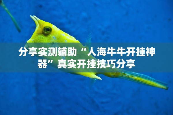 分享实测辅助“人海牛牛开挂神器”真实开挂技巧分享
