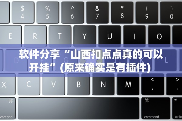 软件分享“山西扣点点真的可以开挂	”(原来确实是有插件) 