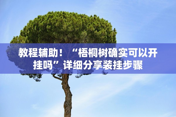 教程辅助！“梧桐树确实可以开挂吗”详细分享装挂步骤