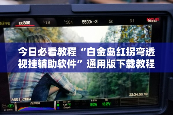 今日必看教程“白金岛红拐弯透视挂辅助软件”通用版下载教程！
