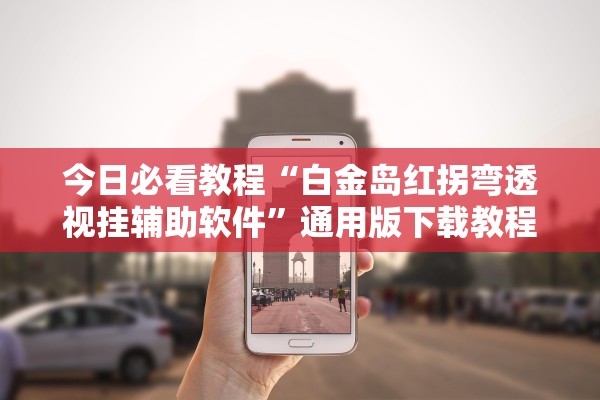今日必看教程“白金岛红拐弯透视挂辅助软件”通用版下载教程！
