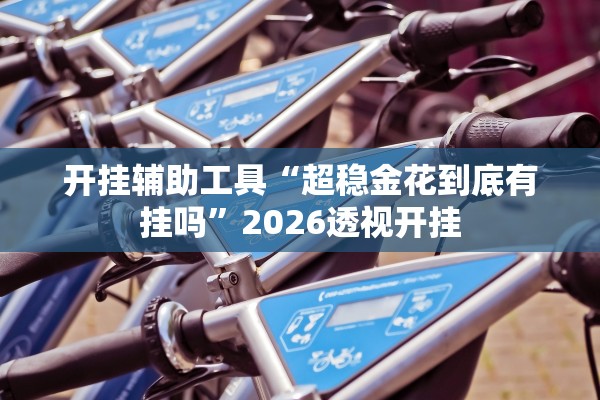 开挂辅助工具“超稳金花到底有挂吗	”2026透视开挂