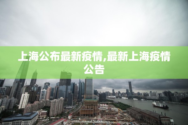 上海公布最新疫情,最新上海疫情公告 上海公布最新疫情,最新上海疫情公告