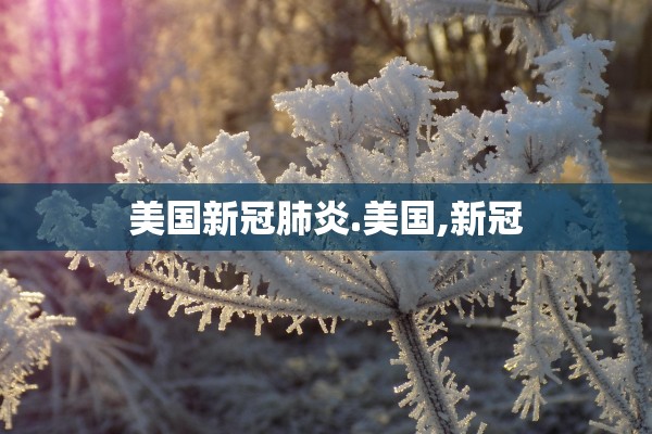 美国新冠肺炎.美国,新冠