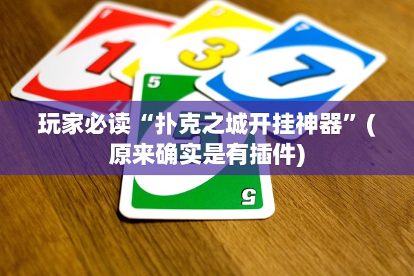 玩家必读“扑克之城开挂神器”(原来确实是有插件)
