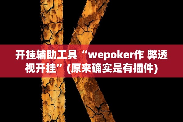 开挂辅助工具“wepoker作 弊透视开挂	”(原来确实是有插件)