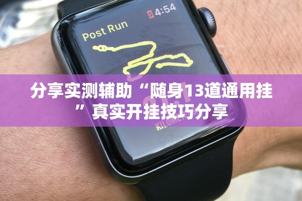 分享实测辅助“随身13道通用挂”真实开挂技巧分享