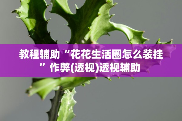 教程辅助“花花生活圈怎么装挂”作弊(透视)透视辅助 