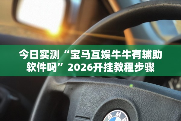 今日实测“宝马互娱牛牛有辅助软件吗”2026开挂教程步骤