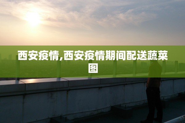 西安疫情,西安疫情期间配送蔬菜图 西安疫情,西安疫情期间配送蔬菜图