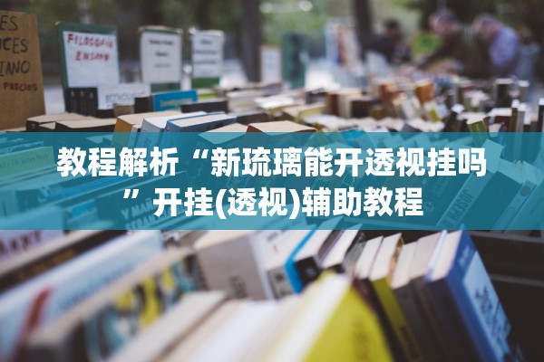 教程解析“新琉璃能开透视挂吗”开挂(透视)辅助教程