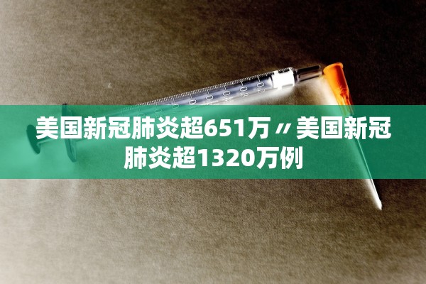 美国新冠肺炎超651万〃美国新冠肺炎超1320万例