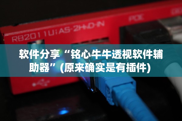 软件分享“铭心牛牛透视软件辅助器	”(原来确实是有插件) 