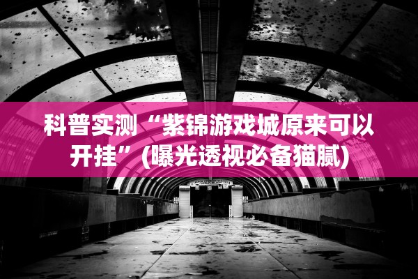 科普实测“紫锦游戏城原来可以开挂	”(曝光透视必备猫腻)