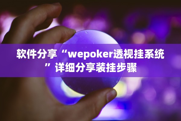 软件分享“wepoker透视挂系统	”详细分享装挂步骤