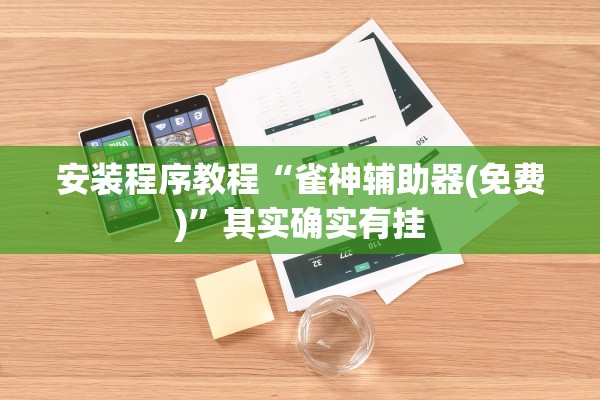 安装程序教程“雀神辅助器(免费)”其实确实有挂