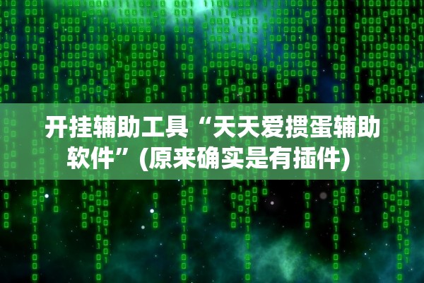 开挂辅助工具“天天爱掼蛋辅助软件”(原来确实是有插件) 