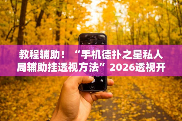 教程辅助！“手机德扑之星私人局辅助挂透视方法”2026透视开挂