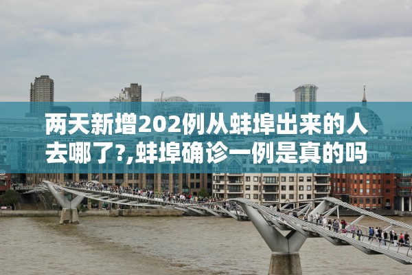 两天新增202例从蚌埠出来的人去哪了?,蚌埠确诊一例是真的吗