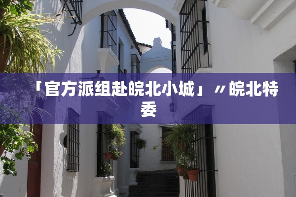 「官方派组赴皖北小城」〃皖北特委