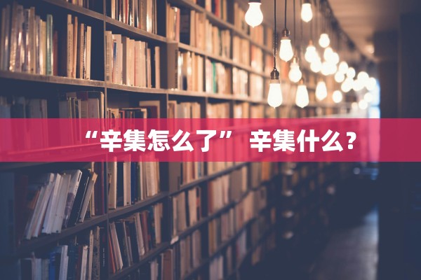 “辛集怎么了” 辛集什么？