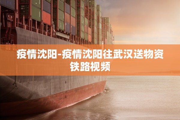 疫情沈阳-疫情沈阳往武汉送物资铁路视频