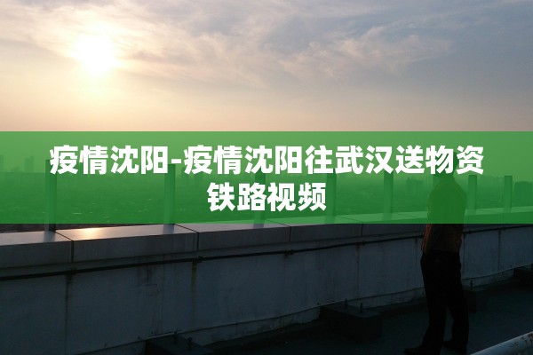 疫情沈阳-疫情沈阳往武汉送物资铁路视频