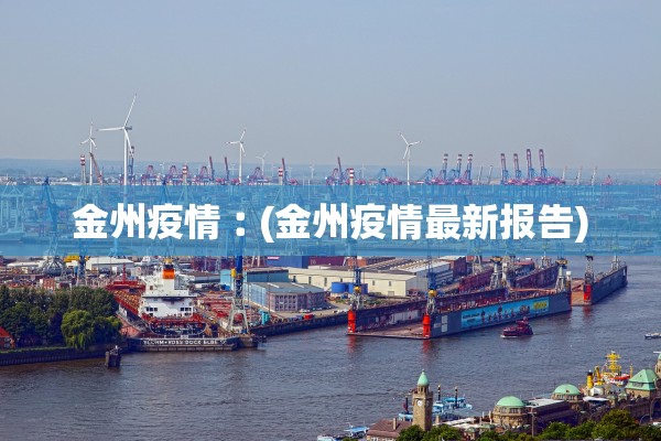 金州疫情︰(金州疫情最新报告)
