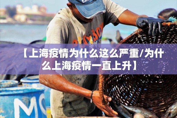 【上海疫情为什么这么严重/为什么上海疫情一直上升】