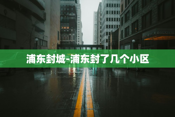 浦东封城-浦东封了几个小区